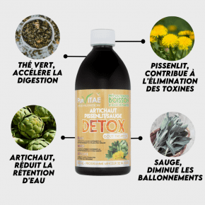 DETOX Artichaut, Pissenlit, Sauge Et Thé - 500ml